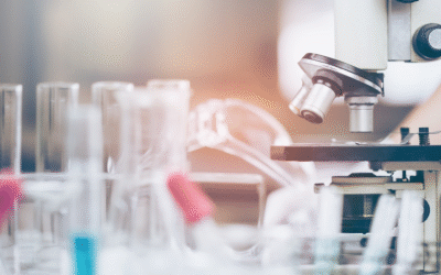 Laboratórios de apoio: como organizamos o fluxo entre apoiadores e apoiados